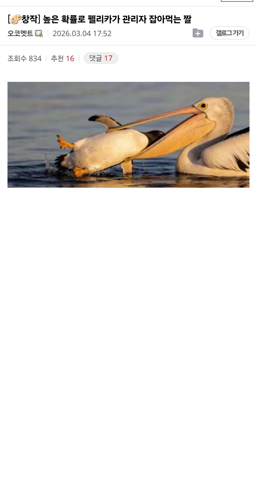 높은 확률로 펠리카가 관리자 잡아먹는 짤_1.webp