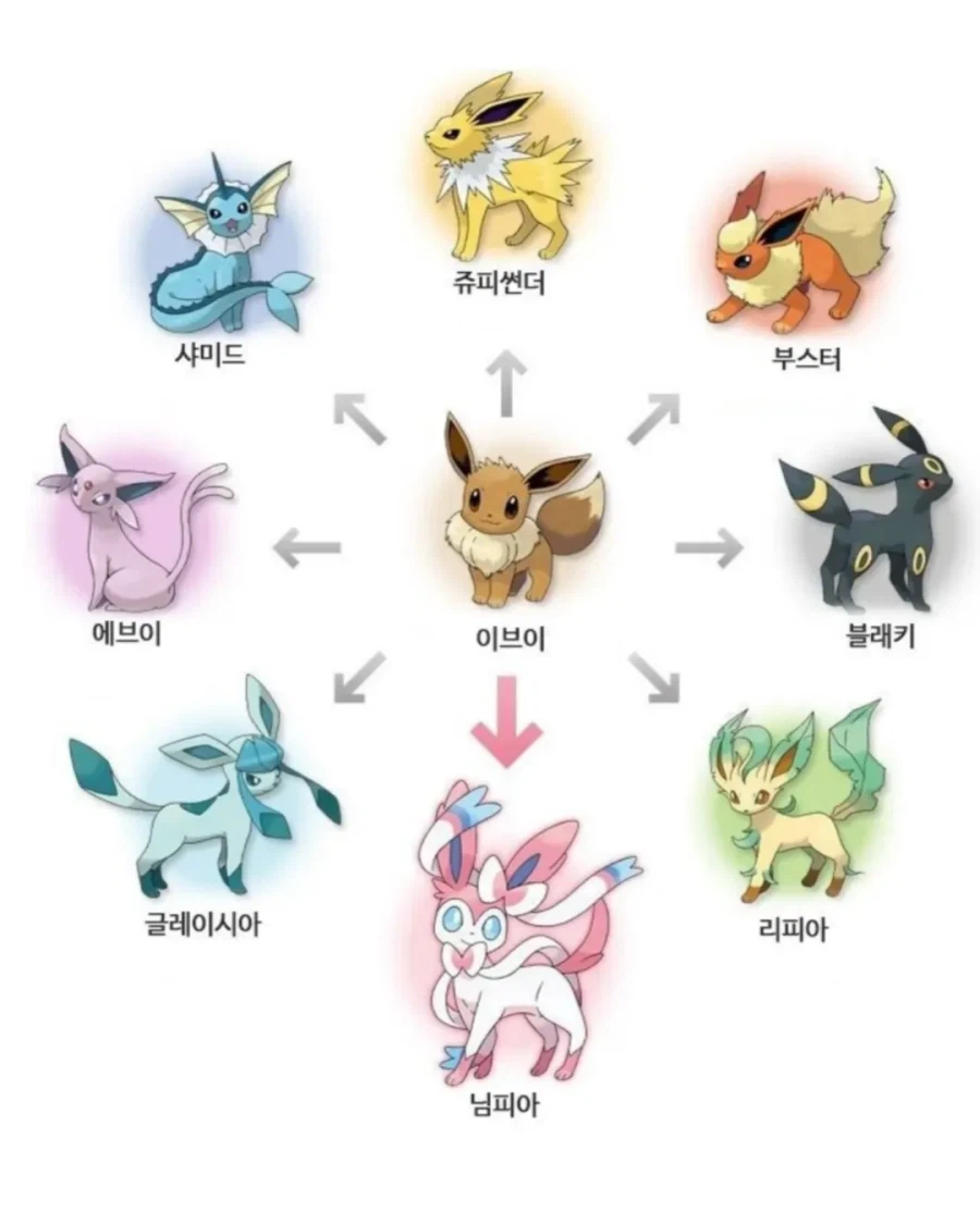 한국에도 이브이 같은 존재가 있다!_1.webp