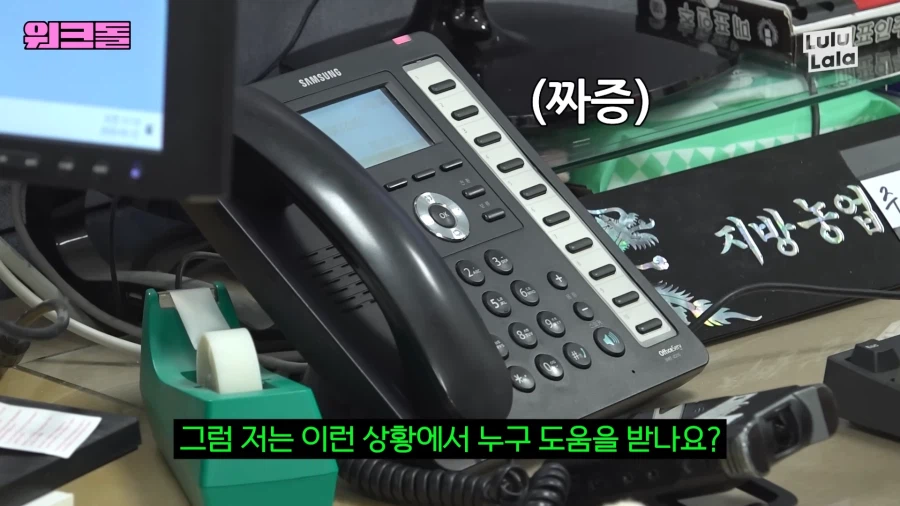 동물복지과가 받는 민원 수준_12.webp