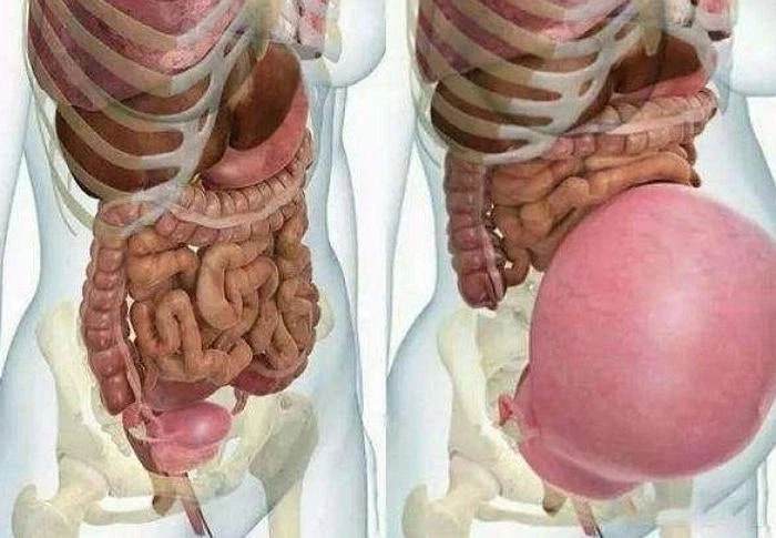 아이를 임신하면 아이의 산모는_1.webp