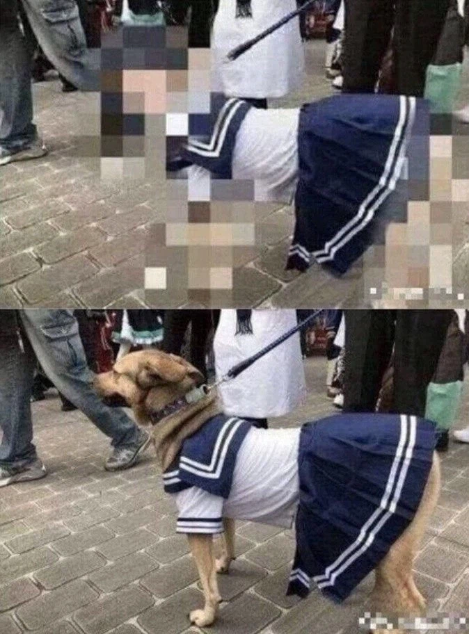 모자이크의 중요성_1.webp