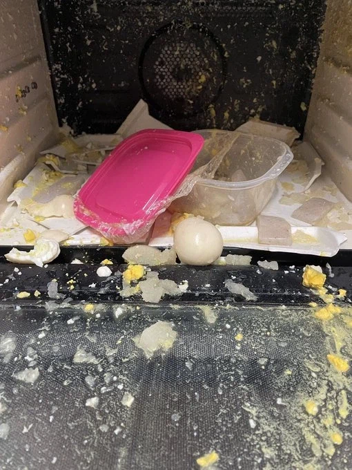 전자렌지에 돌리면 안되는 음식_2.webp