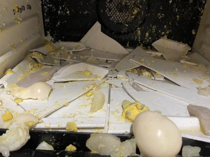 전자렌지에 돌리면 안되는 음식_3.webp