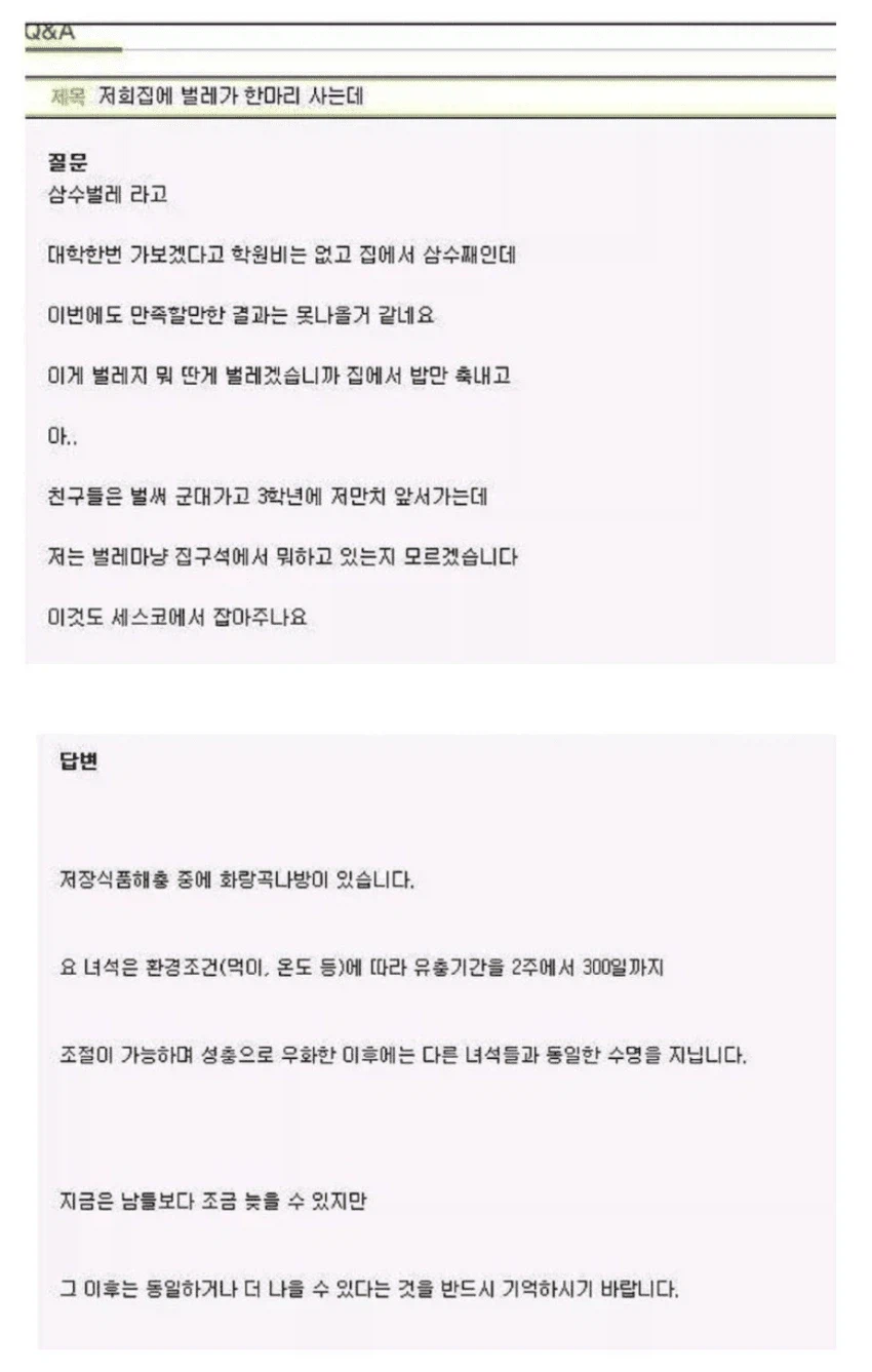 세스코 고객센터 답변 레전드...jpg_1.webp