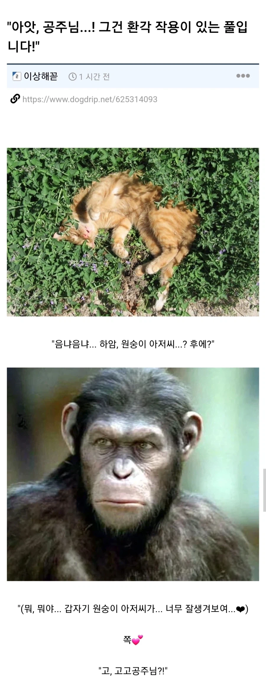 환각의 숲에 들어간 공주님과 아저씨.jpg_1.webp