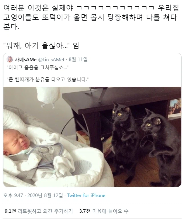 작은 캔따개여 울음을 그쳐주십시오.jpg_1.webp