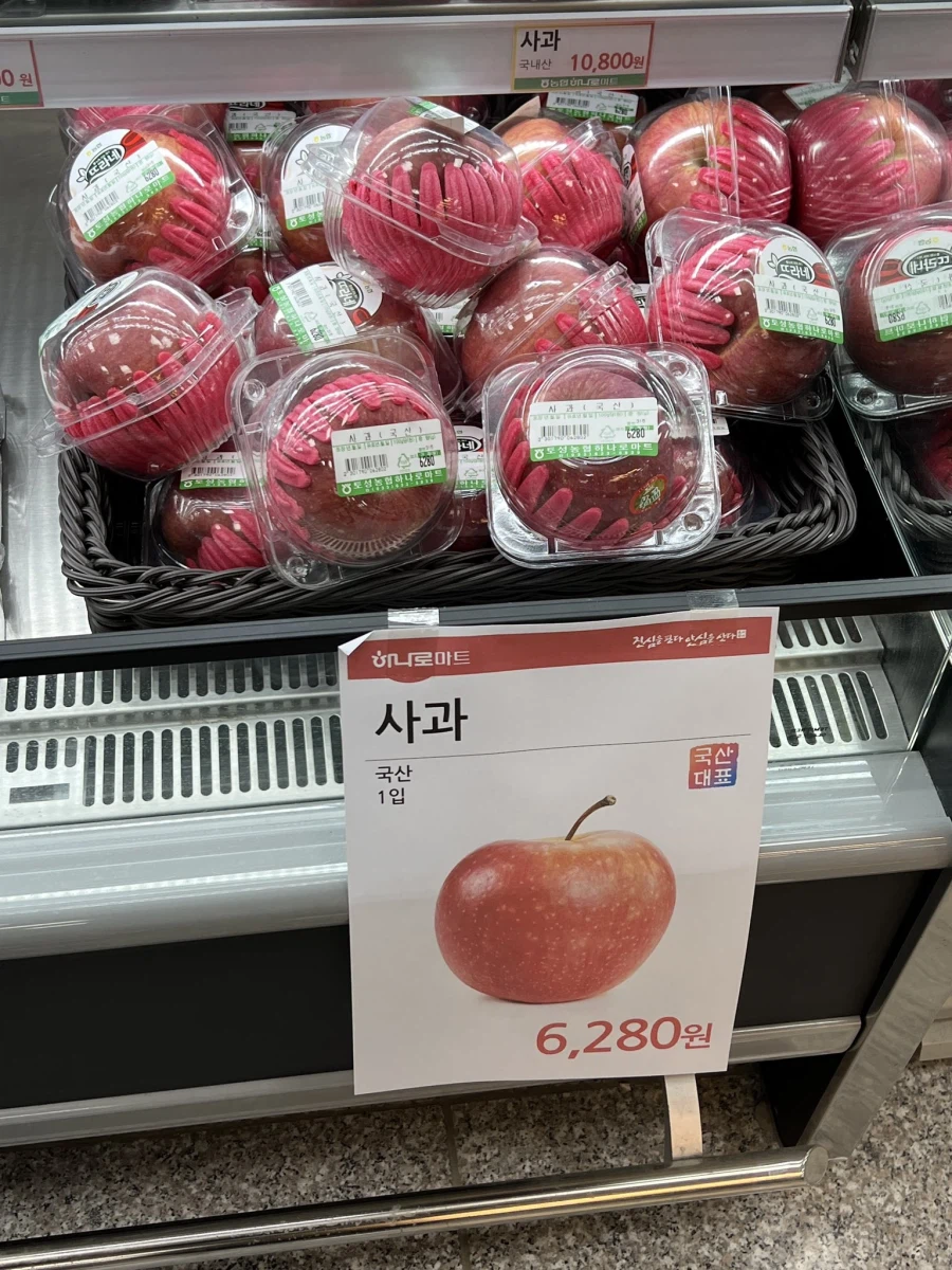 고물가 시대_1.webp