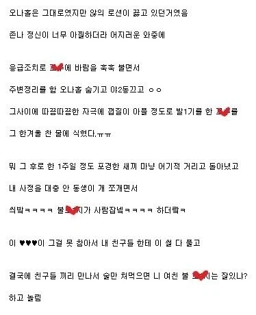 얼음과 불의 보지.JPG_8.webp