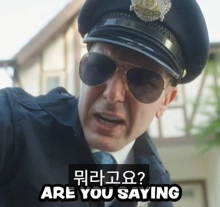 경찰이 차 뒤쪽을 만지는 이유.jpg_23.webp