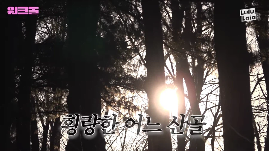 들개 잡으러 떠난 여자아이돌_1.webp