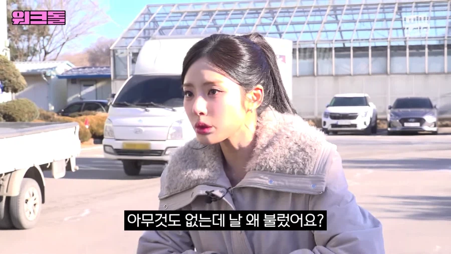 들개 잡으러 떠난 여자아이돌_3.webp