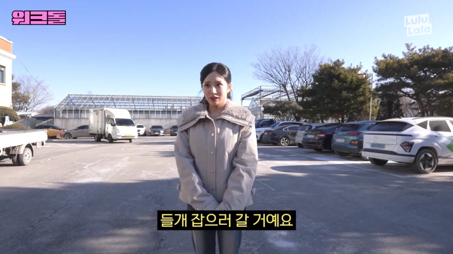 들개 잡으러 떠난 여자아이돌_4.webp