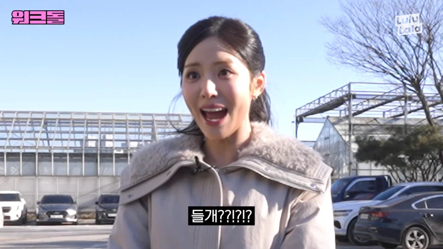 들개 잡으러 떠난 여자아이돌_5.webp