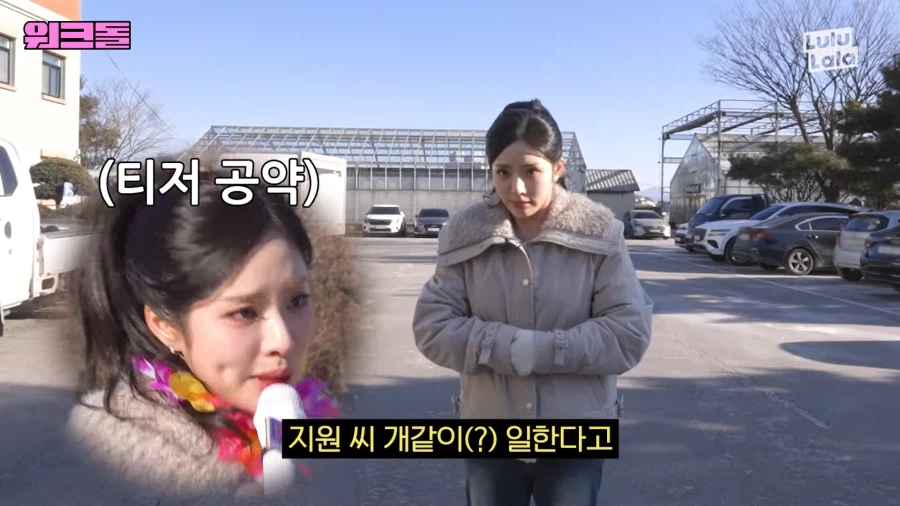 들개 잡으러 떠난 여자아이돌_6.webp