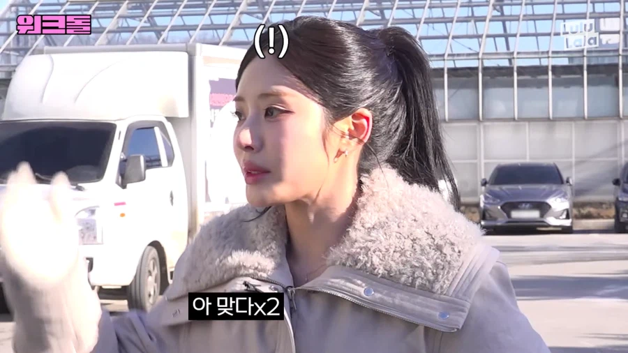 들개 잡으러 떠난 여자아이돌_7.webp