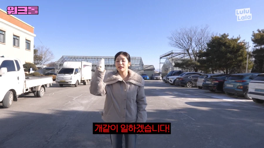 들개 잡으러 떠난 여자아이돌_8.webp