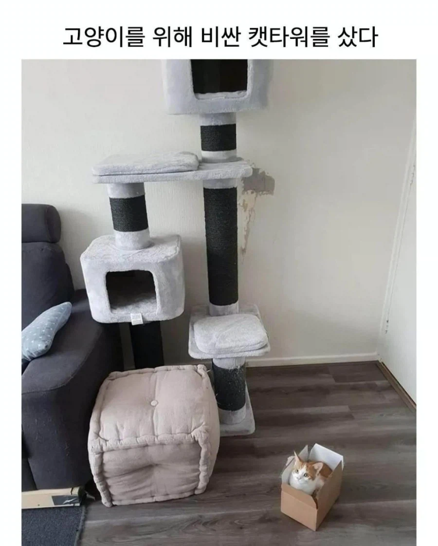 캣타워 특징_1.webp