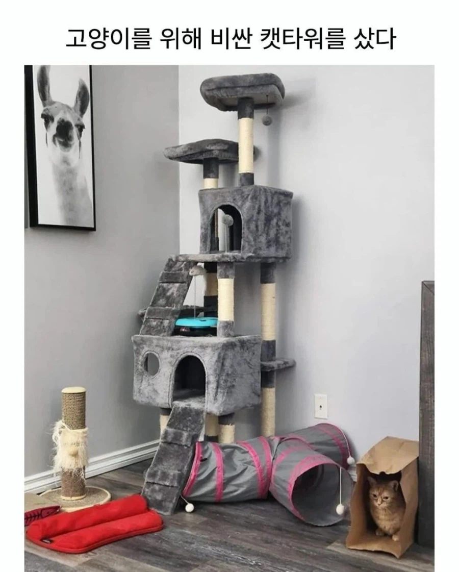 캣타워 특징_2.webp