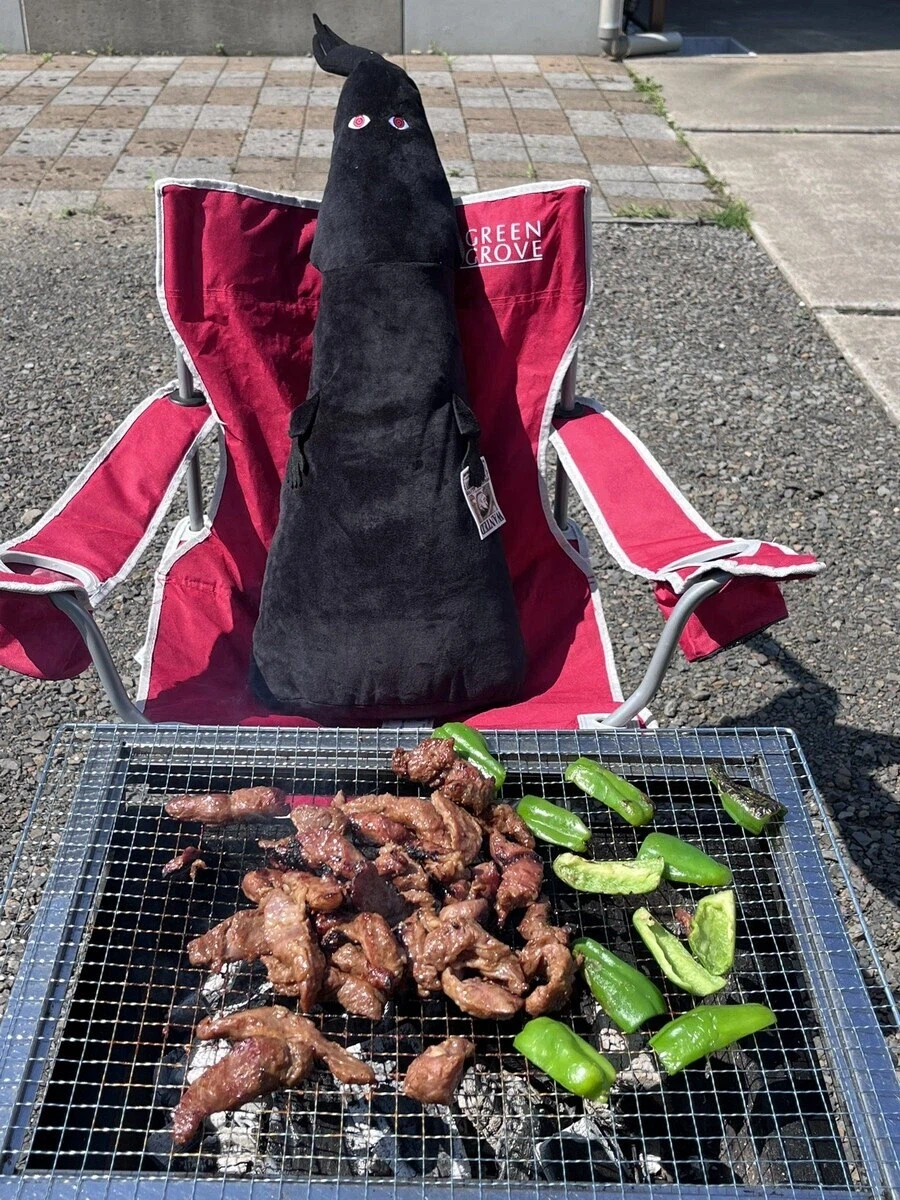 원피스 인기 많았다던 인형 굿즈_1.webp