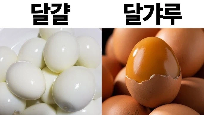 맥반석달걀의 줄임말_1.webp