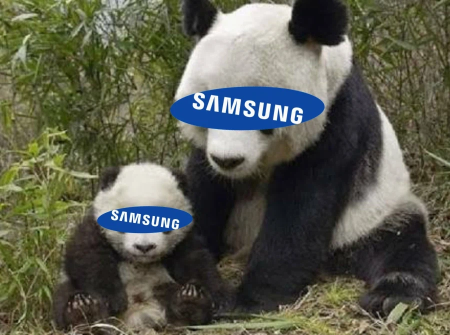 삼성 판다는 새끼가 있네 ㅋㅋㅋ_1.webp