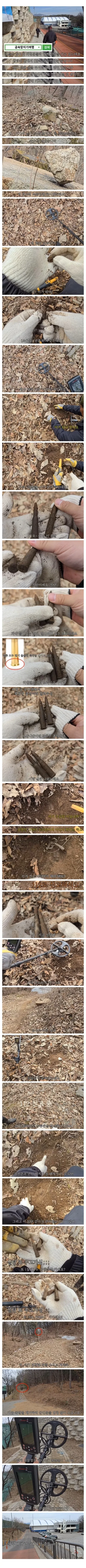 동네 산책로에서 주을수 있는 것들._1.webp