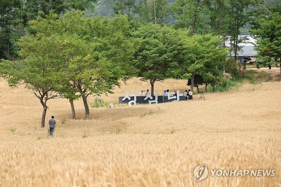 성심당이 빵 진짜 열심히 만들긴함_1.webp