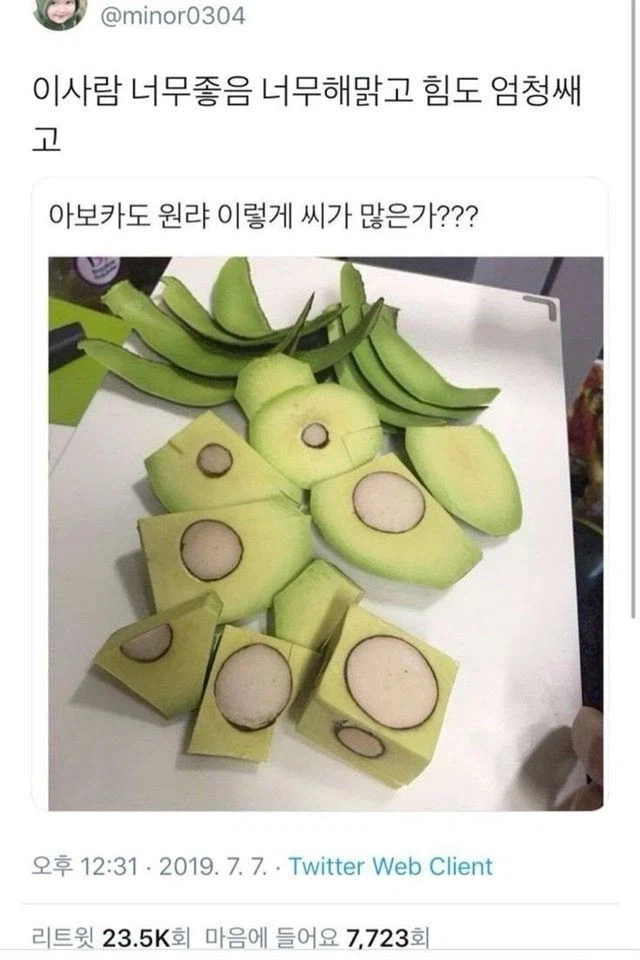 아보카도에서 느껴지는 해맑음_1.webp