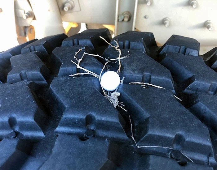 대충살자 비둘기처럼_3.webp