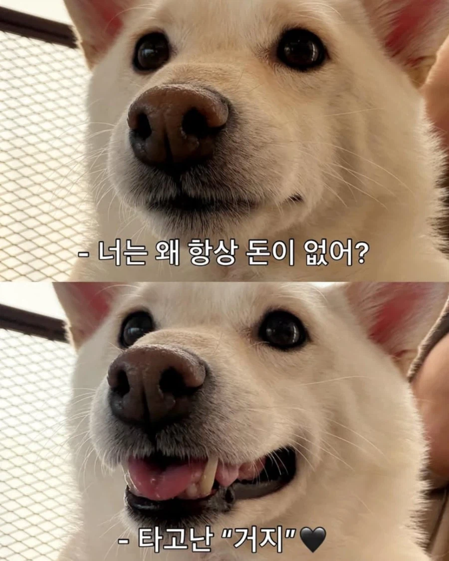 너는 왜 항상 돈이 없어?_1.webp