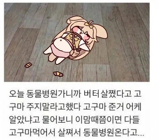 트릭컬) 고구마를 팔려는 코미와 버터_3.webp