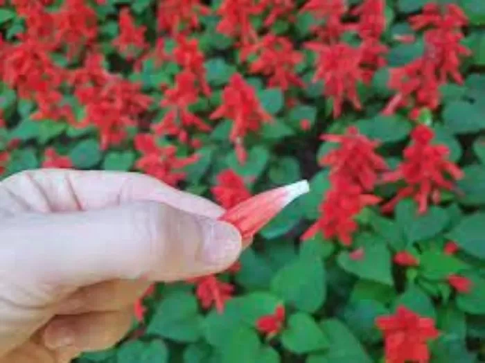 꿀빤 세대란 있다.._1.webp