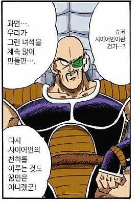 드래곤볼) 내퍼가 아군이 됐다면 분명 차지했을 포지션_1.webp