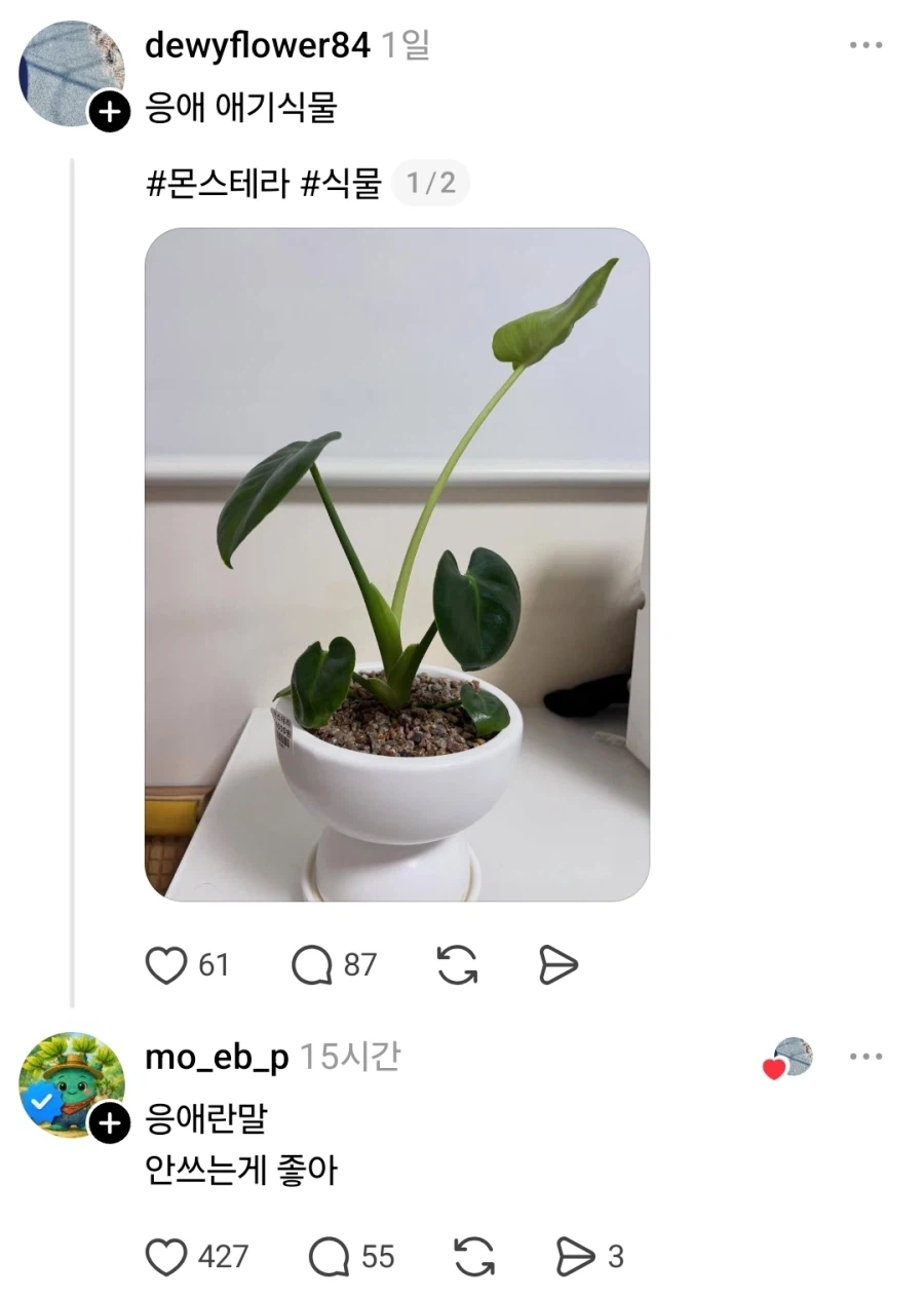 ??? : 응애라는 말 쓰지마세요.jpg_1.webp