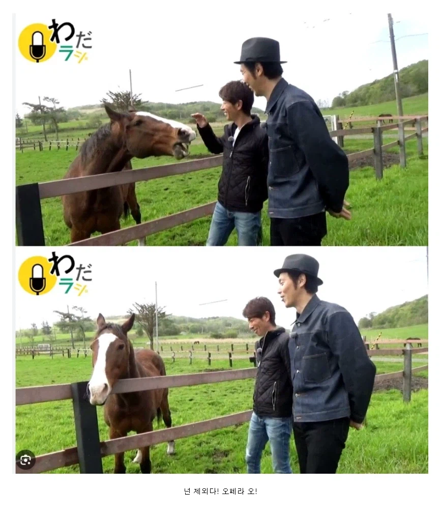 인게임에서와 달리 오페라 오 진짜 싫어하는 말_1.webp