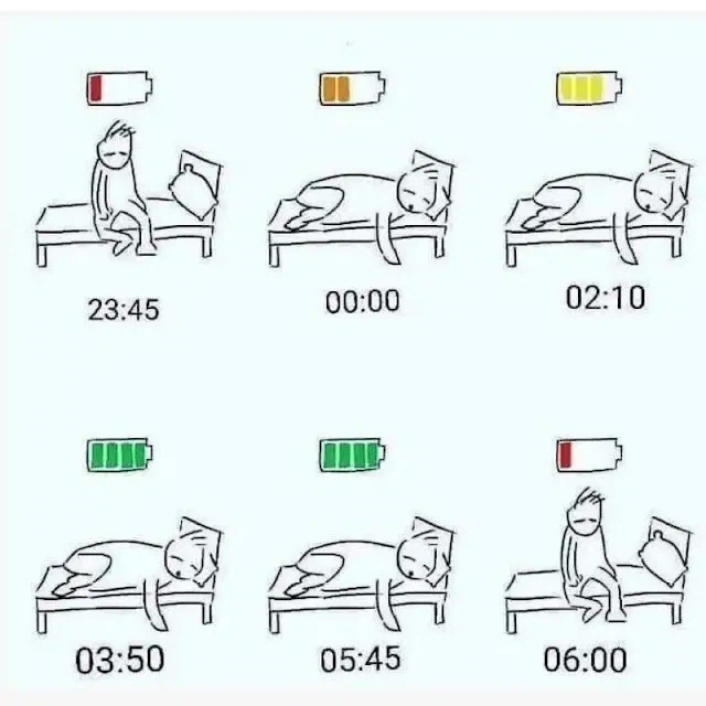 잘 때 몸이 회복하는 신비한 과정.jpg_1.webp