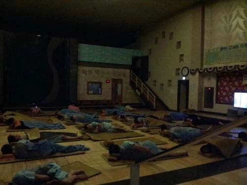 게.이한테 성기 뜯겨먹혀서 자살한 이야기_1.webp