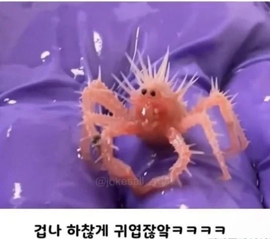 님들 귀여운 게임 추천 좀_1.webp