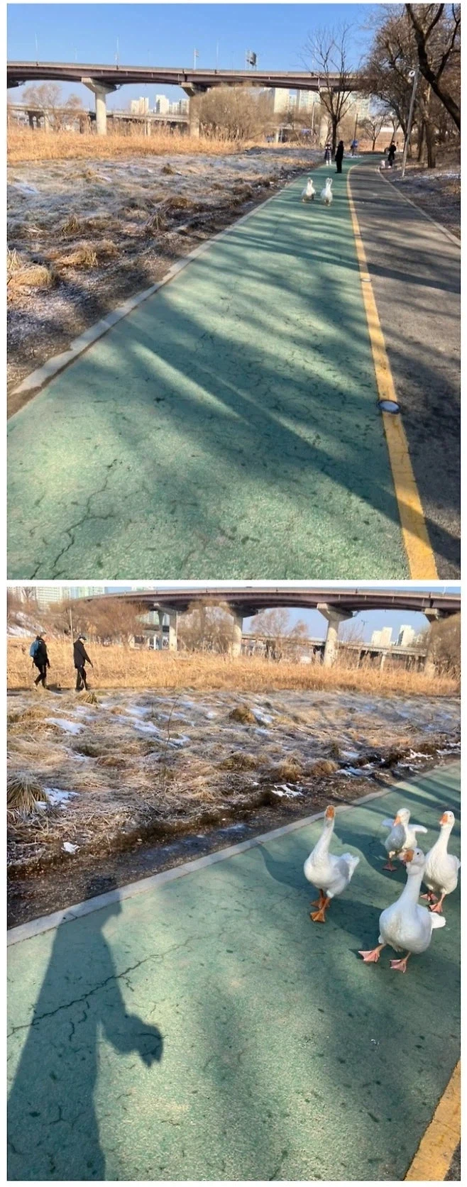 길막하는 민폐 집단_1.webp