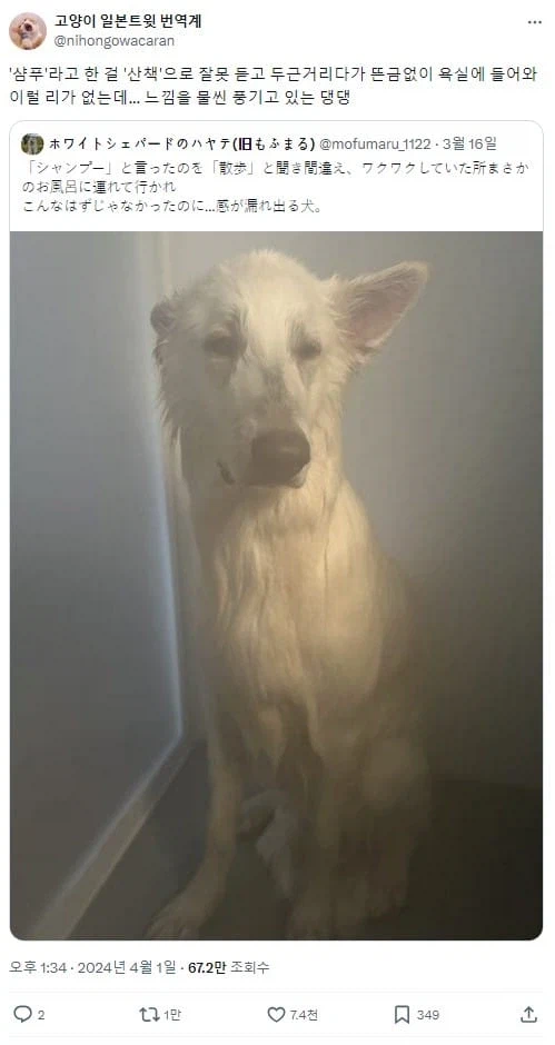 산책인줄 알고 신났었는데_1.webp