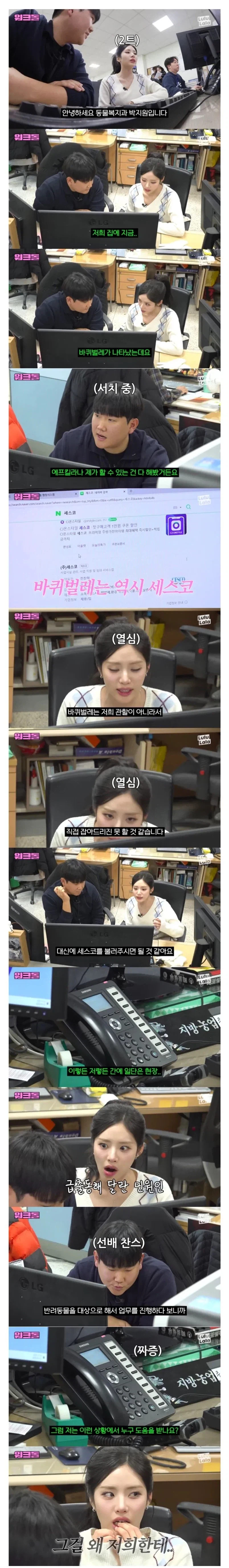 동물복지과에 들어 온다는 민폐 민원.jpg_1.webp