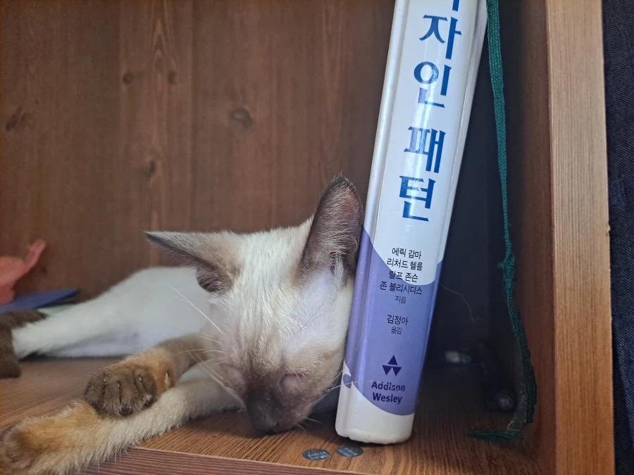 다들 아기 고양이 좋아하죠? 나는 좋아함_15.webp