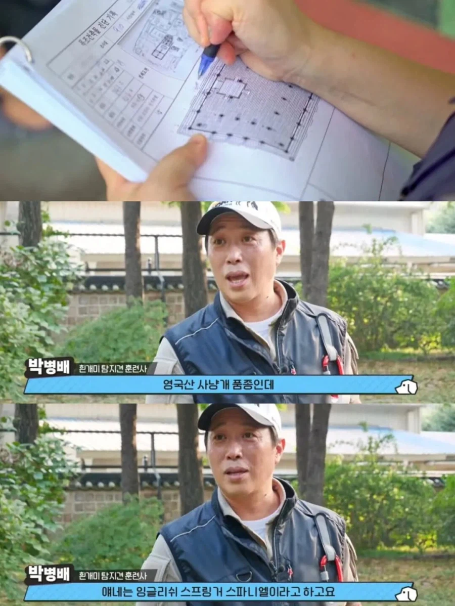 강아지 출입금지인 경복궁에 강아지 데려온 사람_8.webp