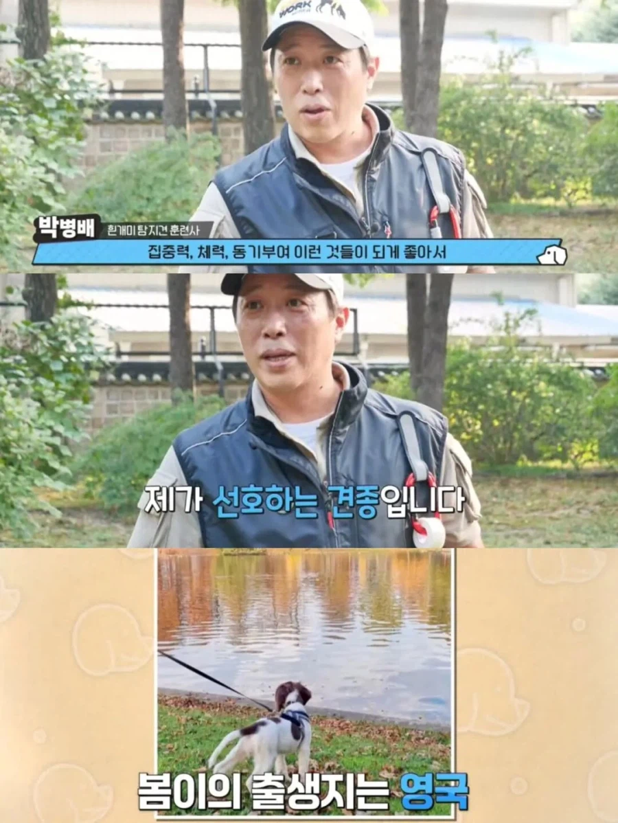 강아지 출입금지인 경복궁에 강아지 데려온 사람_9.webp