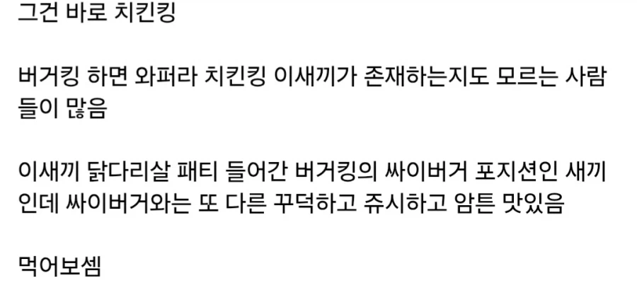 버거킹에 있어서 저평가된 메뉴_2.webp