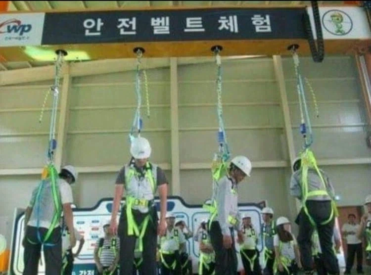 안전벨트 체험_1.webp