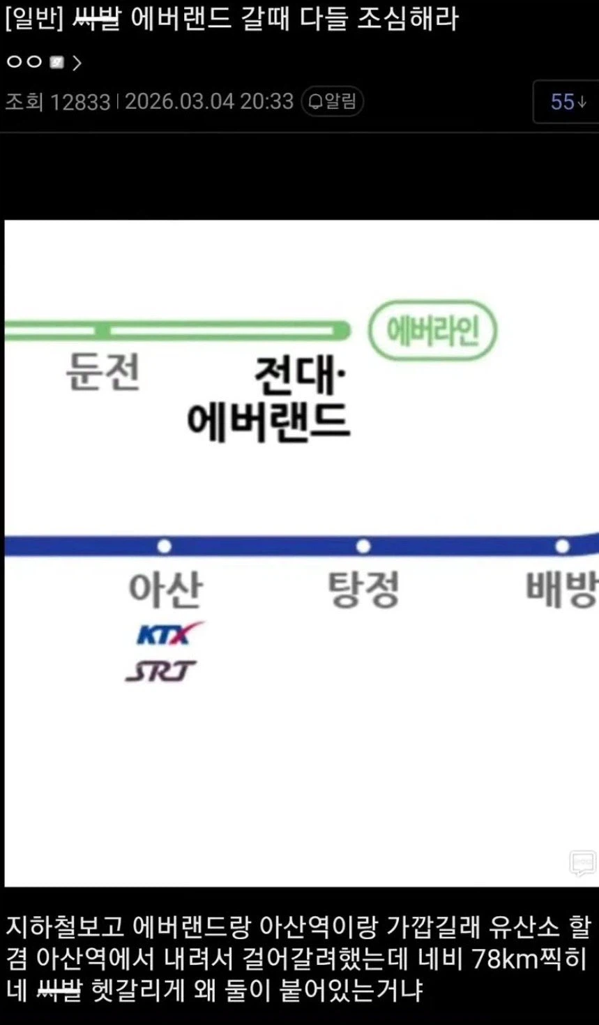 에버랜드 갈 때 조심해야 할 점.jpg_1.webp