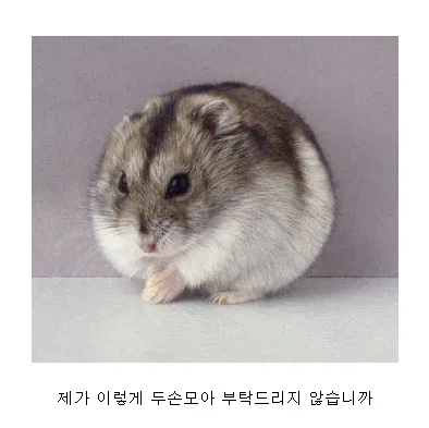 추천 좀 주십쇼_1.webp