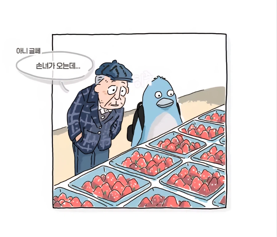 딸기 처음 사 보는 할아버지_5.webp