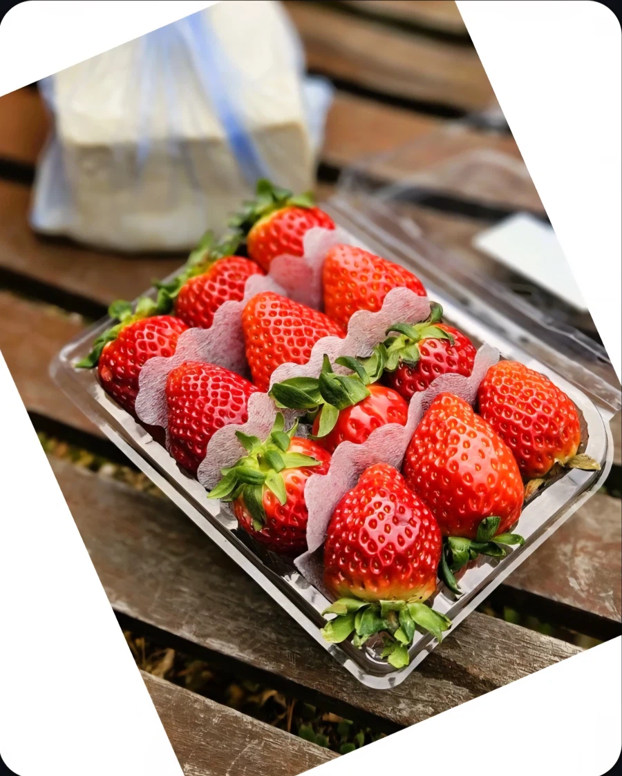 딸기 처음 사 보는 할아버지_9.webp